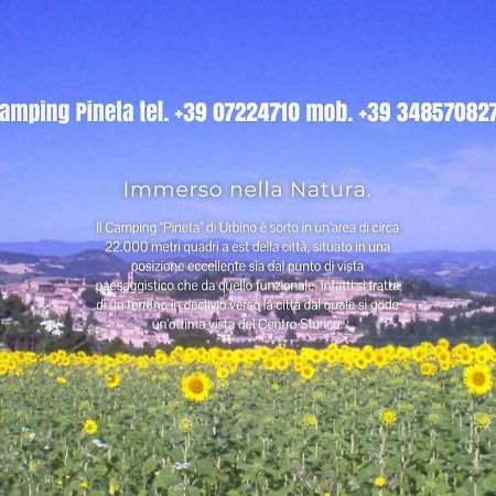 Camping Pineta Hotell Urbino Eksteriør bilde