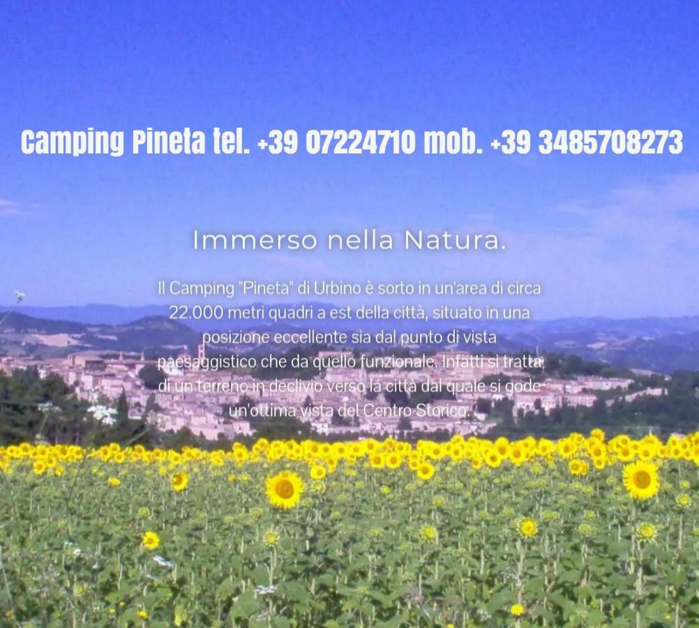 Camping Pineta Hotell Urbino Eksteriør bilde